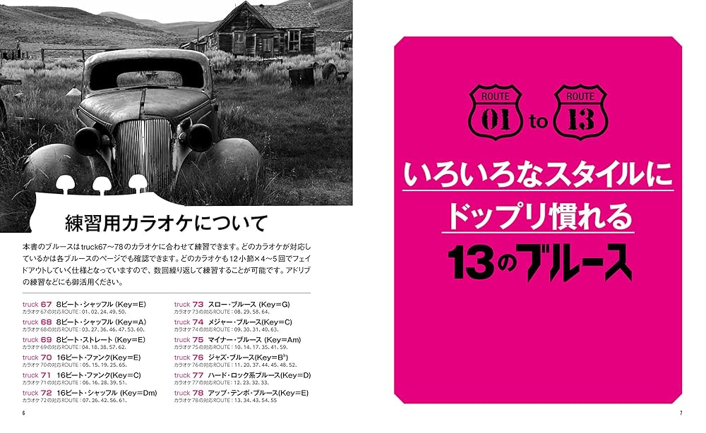 弾くだけでギターのテクニックとセンスが磨かれる66のブルース